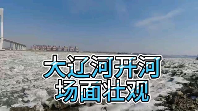 大辽河开河入海 场面壮观