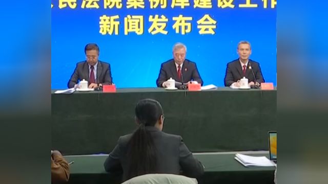 人民法院案例库正式上线,并向社会开放