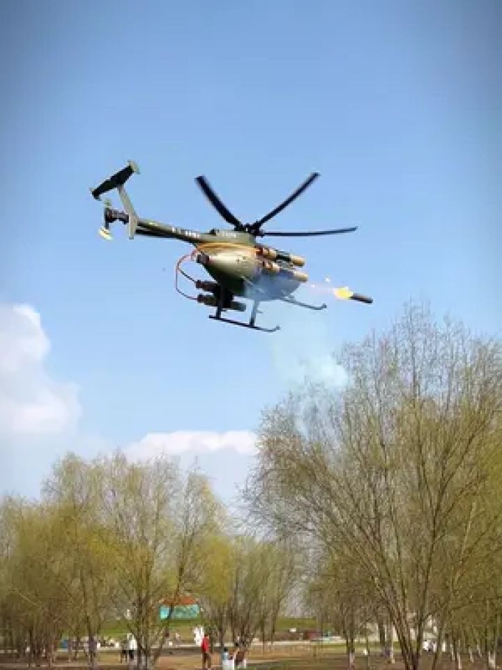 难得有好天气,出去溜一下小鸟#飞机#直升机#模型