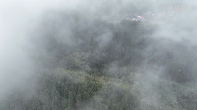 湖南蓝山:春雨薄雾润山色 烟波缥缈入画来