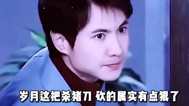 盛世美颜黄子韬沈腾沙溢张卫健