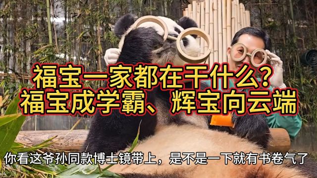 福宝一家都在干什么?