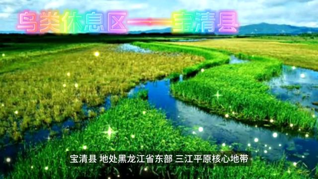 鸟类休息区——宝清县