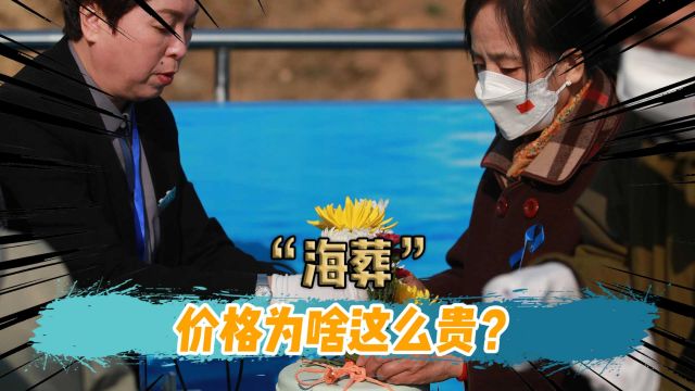 只是把骨灰撒进大海,为何价格要上万?海葬真不是乱收费吗?