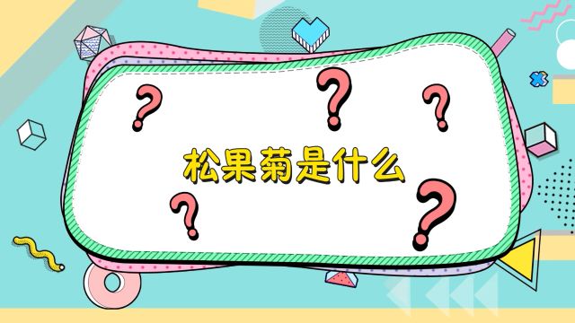 家中必备秘密武器!松果菊是什么?快来听张旭老师讲植物小百科啦~