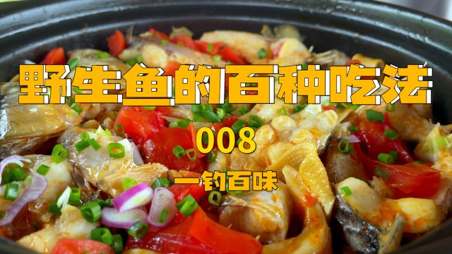 【野生鱼的百种吃法】户外美食之啤酒鱼