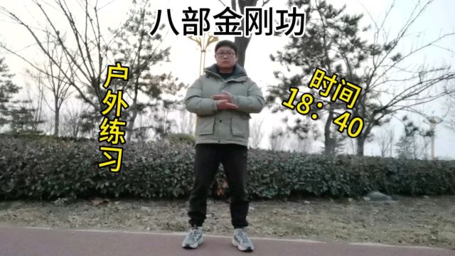 道家养生功八部金刚功自律打卡记录.