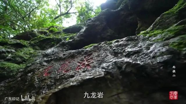 美丽中国|中华名山系列纪录片《西樵山》广东四大名山,珠江文明的灯塔,一座沉寂了亿万年的死火山