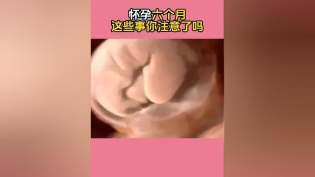 怀孕六个月,这些事你注意了吗 怀孕六月 怀孕 胎儿 孕妈妈 孕期知识