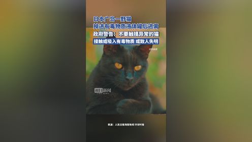日本广岛一野猫掉进有毒物质液体罐后逃离，当地政府警告：如果看到一只异常的猫，请不要触摸它