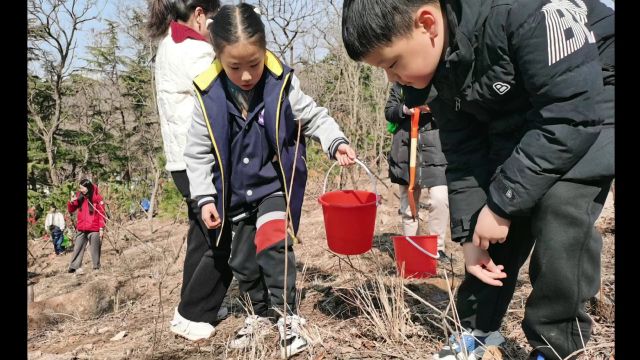 小手添新绿,快乐找春天!青岛宁夏路小学开展植树、捡垃圾实践活动