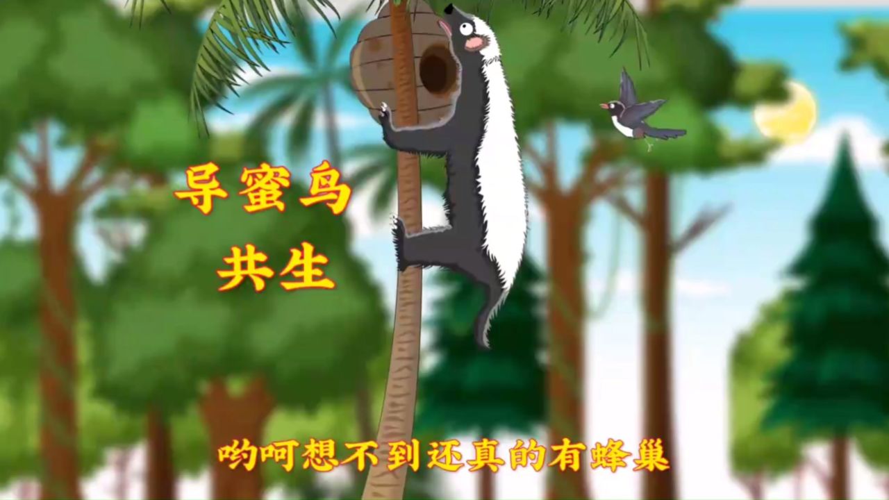 平头哥,咱俩合作吧!