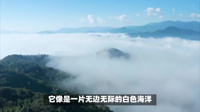 站在西双版纳云海之巅,领略“山登绝顶我为峰”的境界