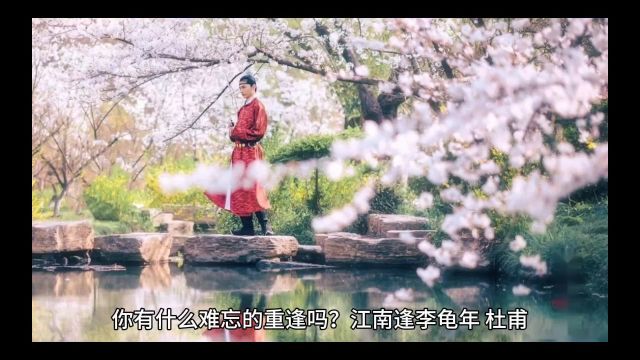 杜甫“落花时节又逢君”你真的读懂了吗?