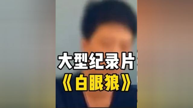 大型纪录片《白眼狼》持续为你播出大型纪录片白眼狼 社会百态 万万想不到