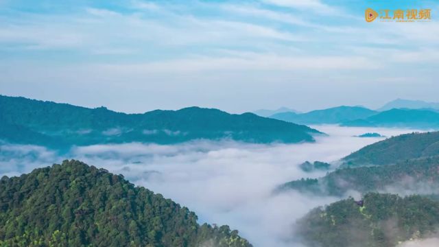 资溪县作为一个典型的山区县,如何利用好生态资源尤其是林业资源禀赋,实现高质量发展?江南都市报带你一探生态大县资溪的魅力.