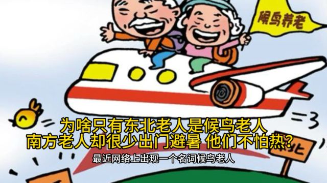 候鸟老人为啥只有东北老人 南方老人不怕酷热吗?