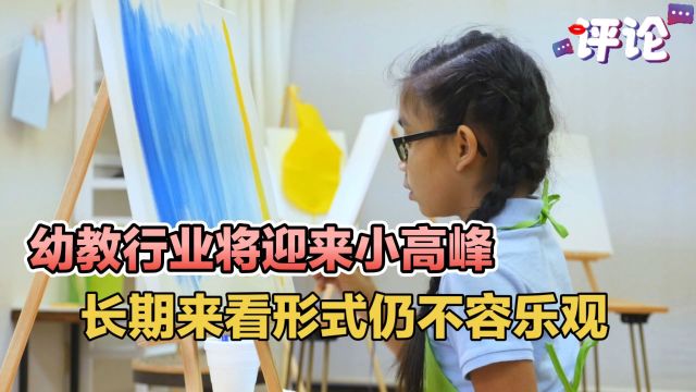 幼教行业将迎来小高峰,长期来看形势仍不容乐观