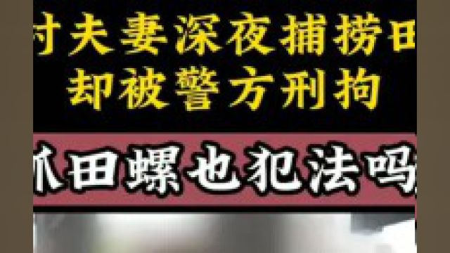 农村夫妻深夜捕捞田螺,却被警方刑拘,女子:抓田螺也犯法吗? 1