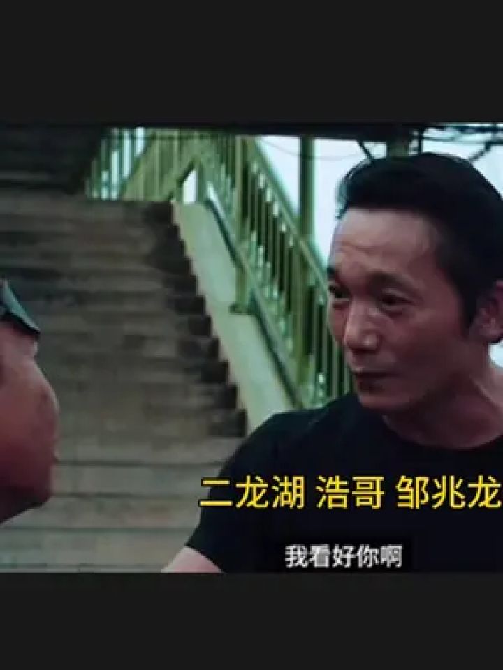 武打动作 #邹兆龙#二龙湖浩哥