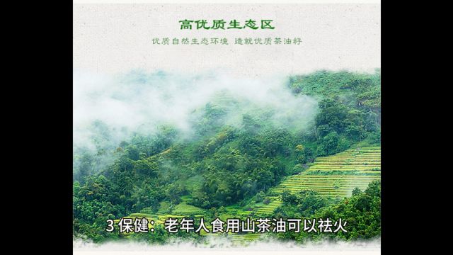 研究:长期吃山茶油,对身体竟有这些好处