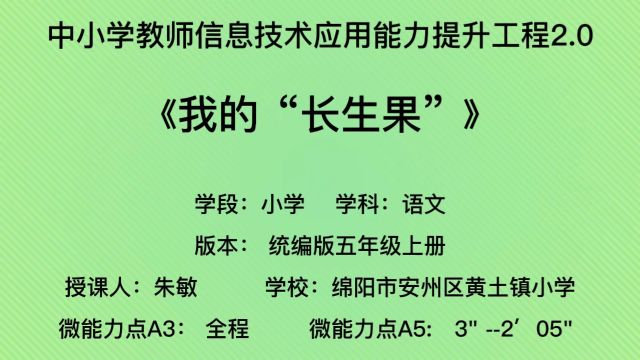 信息技术2.0数字化教学案例