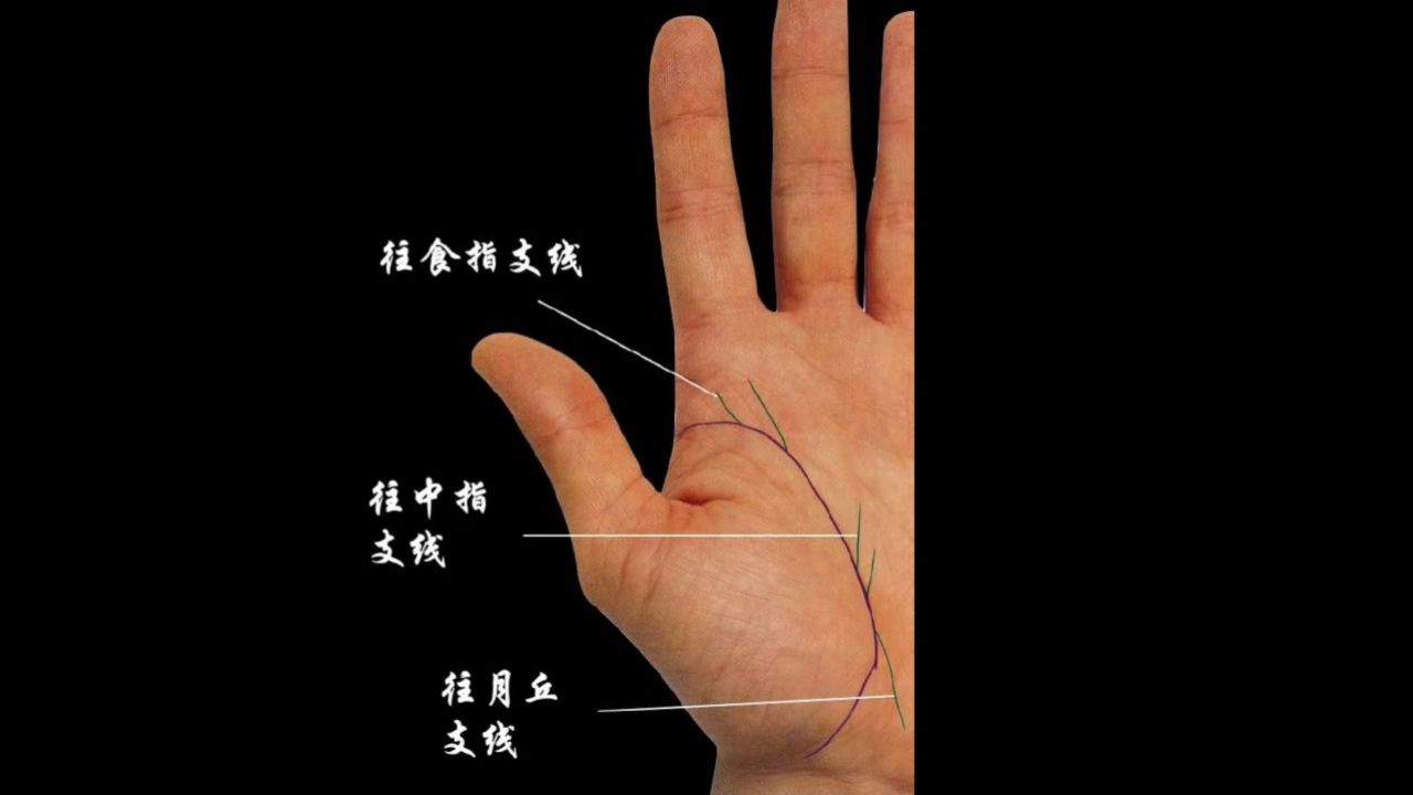 生命线出现支线的走向是好是坏