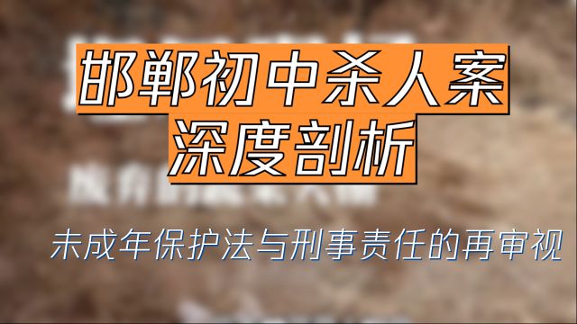 邯郸初中杀人案深度剖析,未成年保护法与刑事责任的再审视