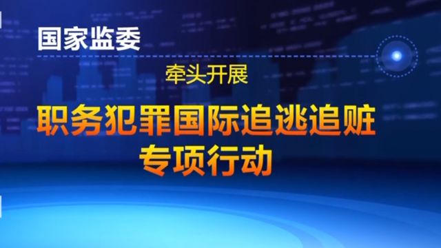 纵深推进追逃追赃和跨境腐败治理,“天网2024”行动正式启动