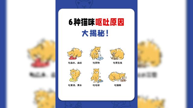 猫咪呕吐是什么原因?一分钟告诉你!