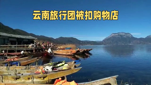 云南旅行团强制消费事件:游客权益谁来保障