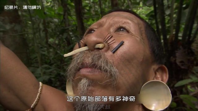 9巴西马蒂斯原始部落,狩猎30米高的吼猴,把盘子大的蜘蛛当零食吃#原始部落#纪录片#马蒂斯人@快手热点(O40300129)