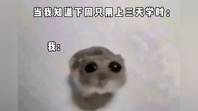 就这个爽