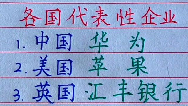 各国代表性企业