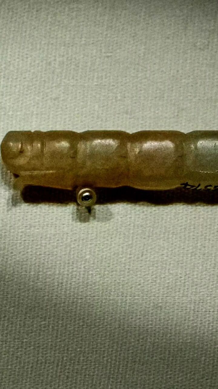 周穆王从丰京出发西巡狩的历史见证.#西周 #玉蚕 #西安文物 #玉器