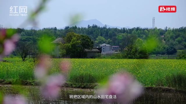 乡村振兴|实现经济三连跳 湘潭县南下村不再“难”