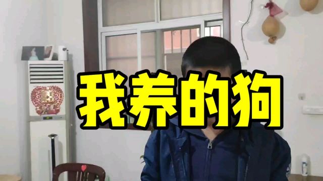 王燕兴趣写作|两个小学生爱动物,他们怎么养动物?快看!