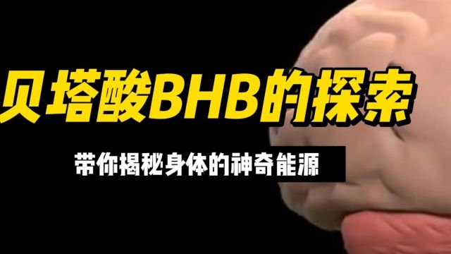 贝塔酸BHB的探索带你揭秘身体的神奇能量源已发