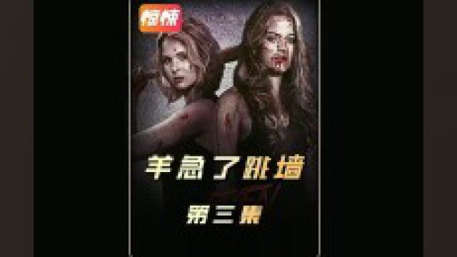 第3集《羊急了也跳墙33》这就是人贩子的下场 #羊急了也跳墙 #恐怖惊悚 #电影解说