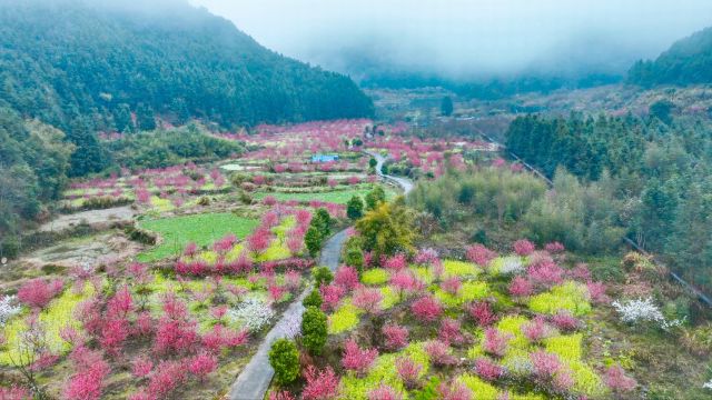 “花”样百变,花海营销的体育赛事为乐昌文旅注入新活力