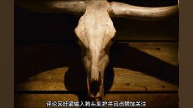 男人年幼时被屠夫绑架受尽虐待后最终成了新一代屠夫1