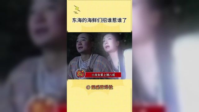 东海里的海鲜们可遭老罪咯