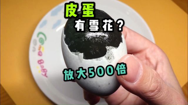 黑黑的皮蛋用显微镜放大500倍能看见很多雪花片!?太漂亮了!