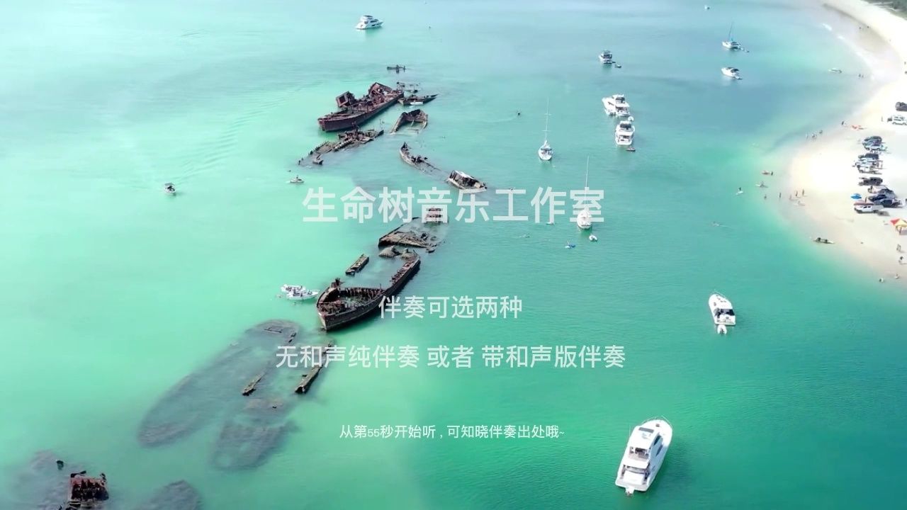 新春乐 交响乐纯伴奏 小提琴独奏 背景音乐伴奏 3分钟 无损伴奏