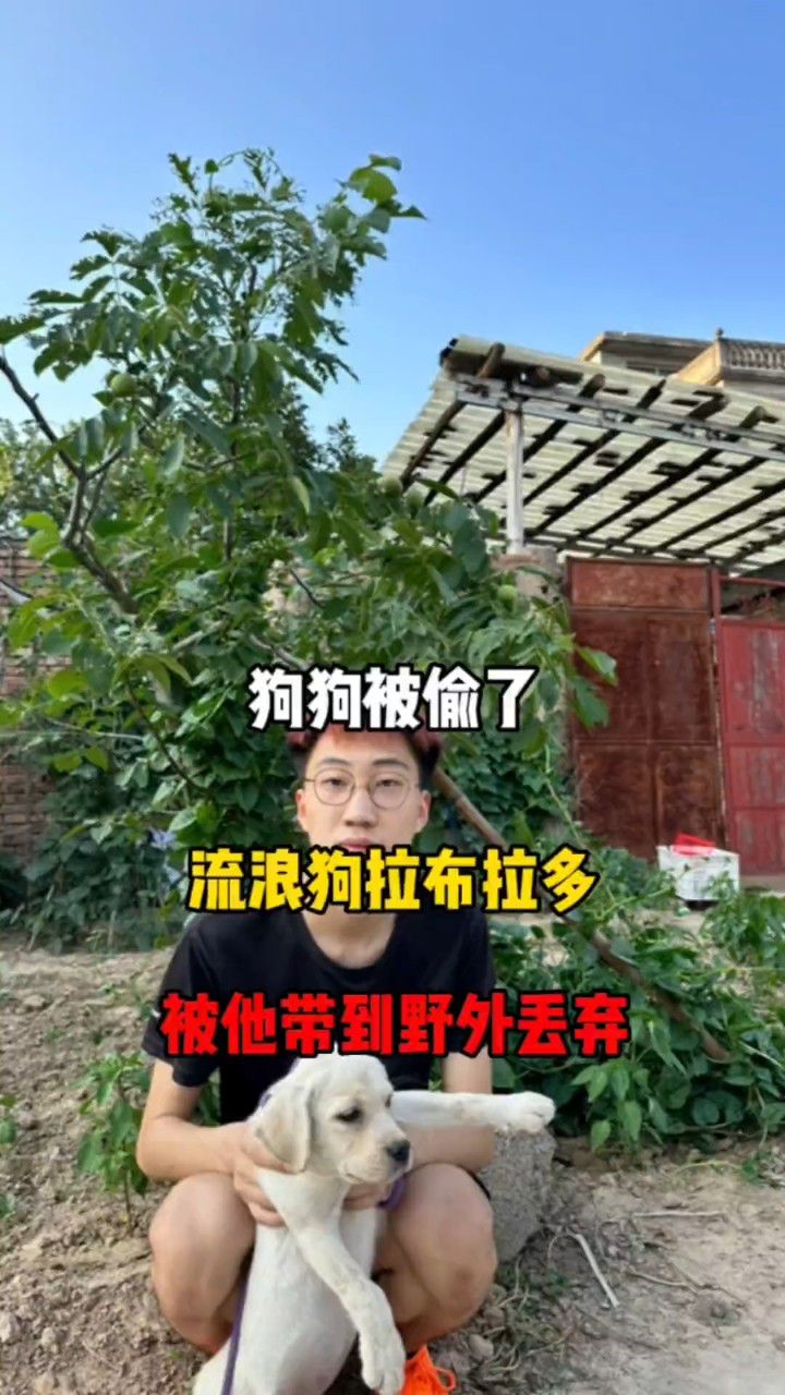 g这个偷狗贼是我曾经的好兄弟,明天找他好好谈谈