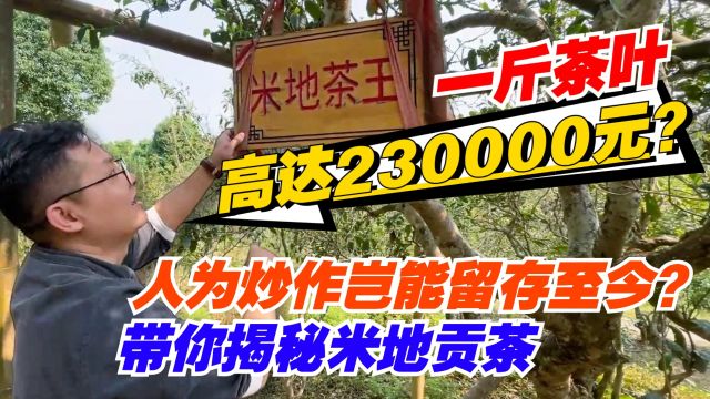 一斤茶叶高达230000元?人为炒作岂能留存至今?带你揭秘米地贡茶