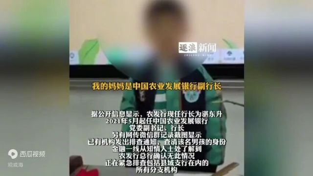 男孩称想当中国农业发展银行行长继承家产