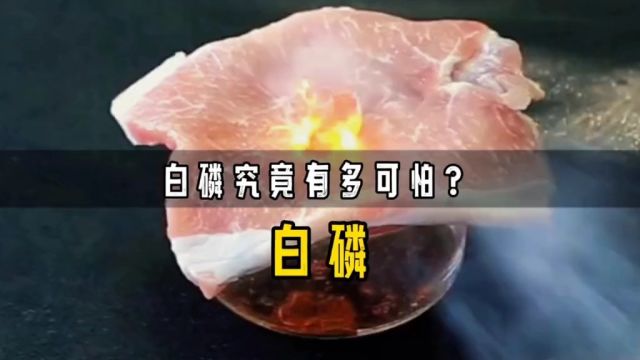 白磷究竟有多可怕?将其放在猪肉上,白磷自燃,猪肉瞬间被烤熟