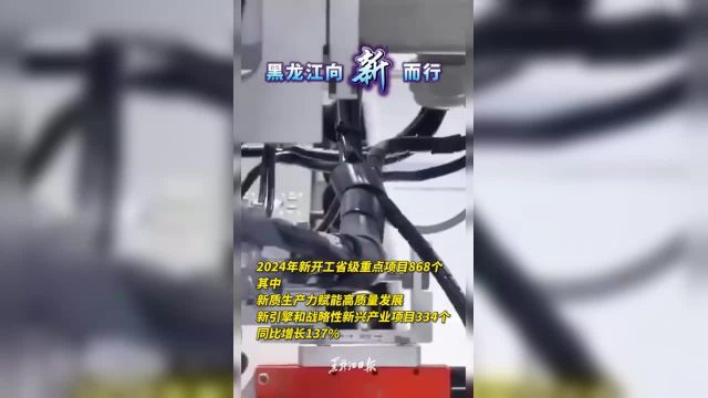 黑龙江向“新”而行!