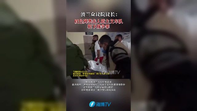 波兰众议院议长以色列袭击人道主义车队犯下战争罪